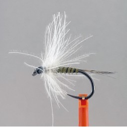 DF-MCCW Le lot de 3 mouches