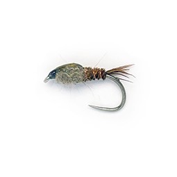 Phaisan Tail amarillo