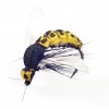 WASP-10